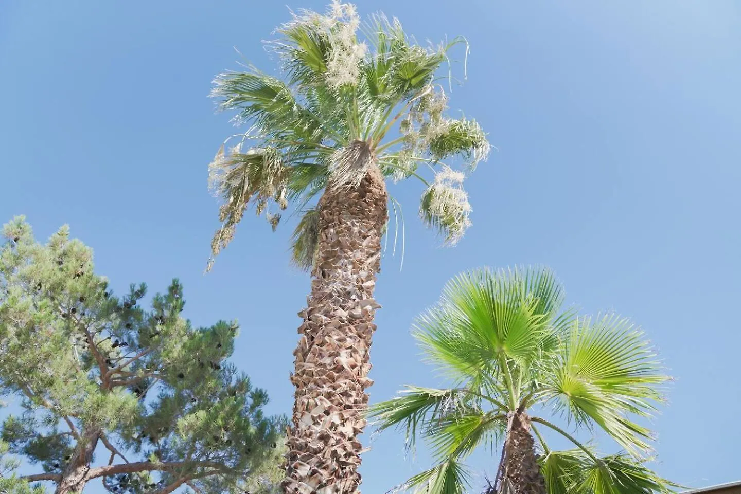 Vacationhome - Privatepool Gardenyard Las Vegas